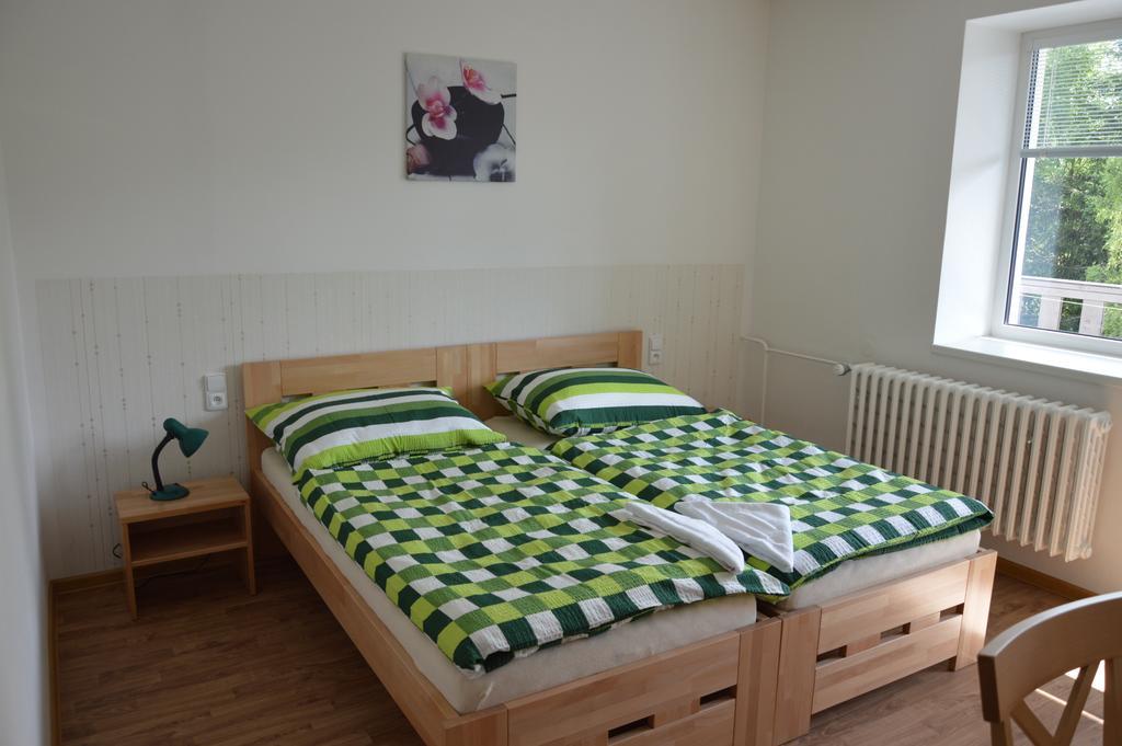 Penzion Havelka Apartmany Zelezna Ruda Exterior photo